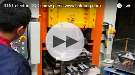 315T electric CNC screw press